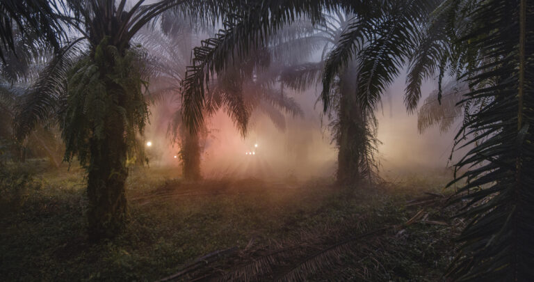 An Invitation to Disappear