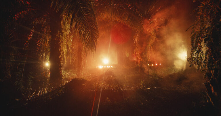 An Invitation to Disappear